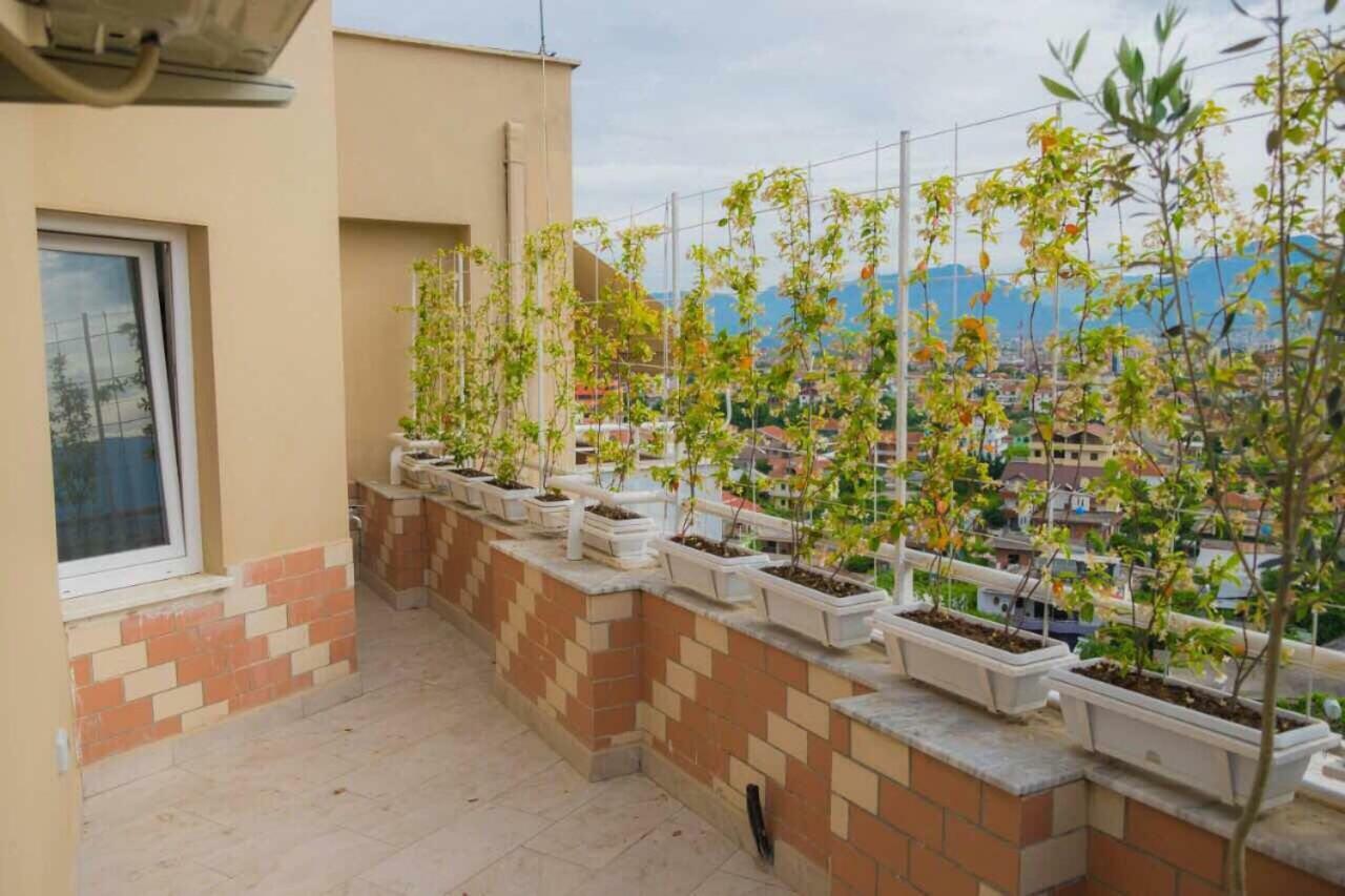Modern Furnished Apartment With View Tirana Esterno foto